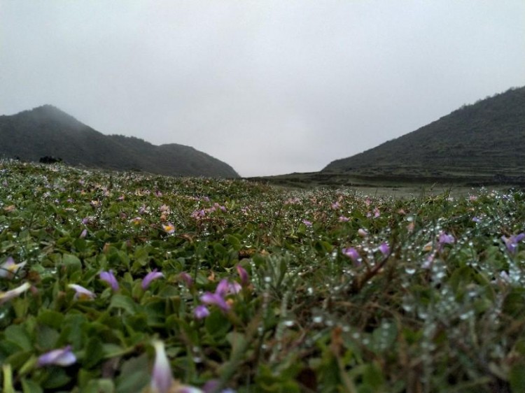 抖音快手要养号闲鱼怎么样去养号