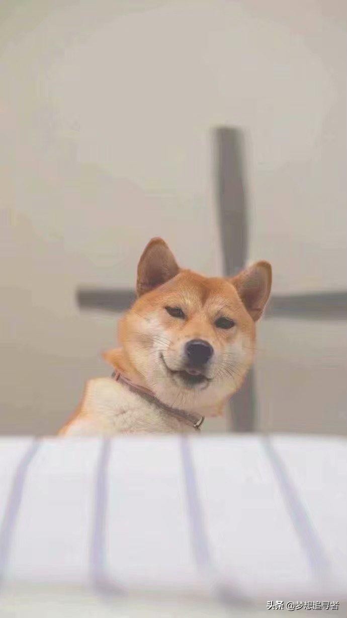 微信爱情暖心话遇到可爱的人晚风也好凉夜也罢都想笑