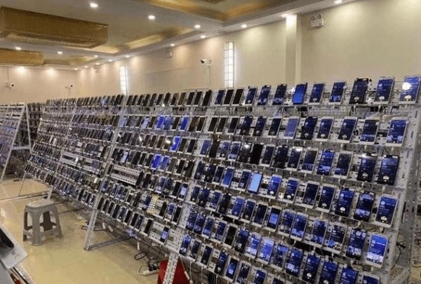 抖音可以挂假粉吗