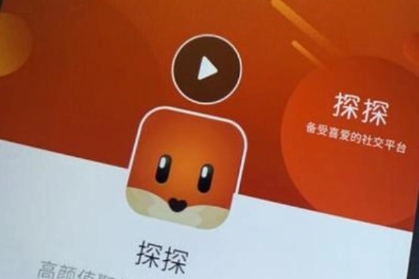 探探账号显示问题解决方法